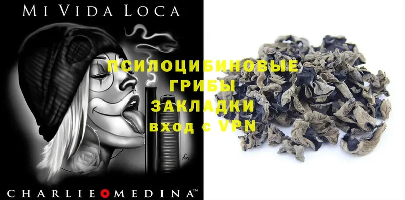 Галлюциногенные грибы Magic Shrooms  как найти закладки  Полярный 